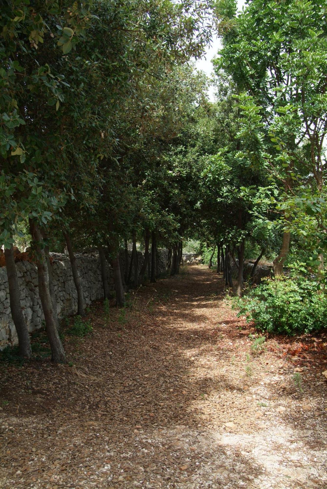 Masseria Trotta B&B ฟาซาโน ภายนอก รูปภาพ